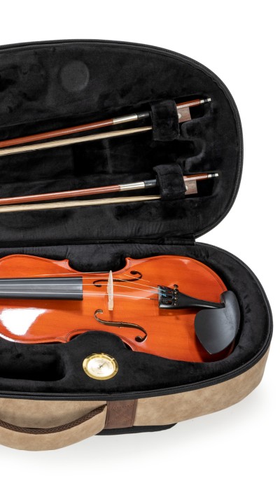 Custodia per Violino serie 2000